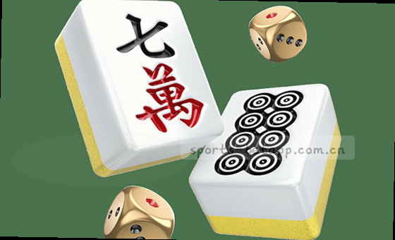 精准数据，复盘每一次飞跃